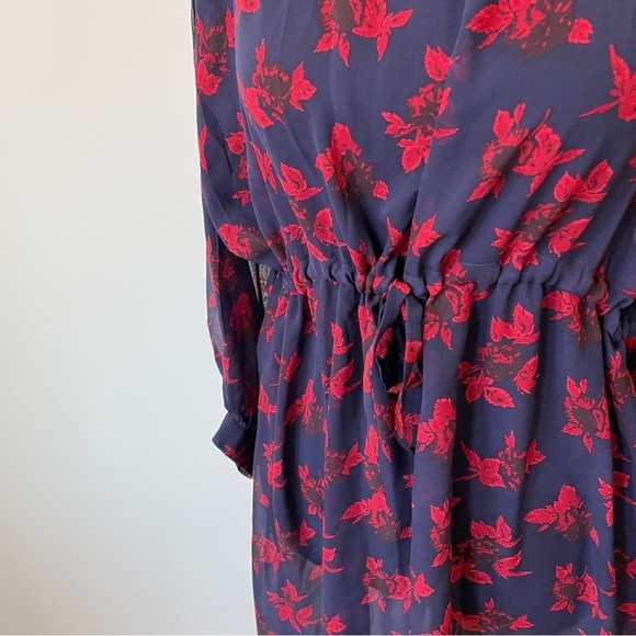 Madewell No.6 Vintage Rose Blue Red Silk Floral Printed Silk Magical Dress EUC 6